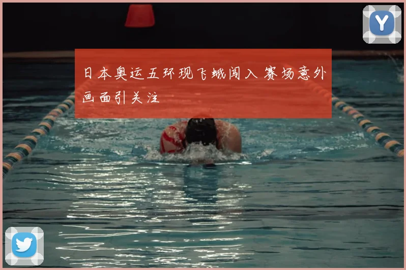 日本奥运五环现飞蛾闯入 赛场意外画面引关注