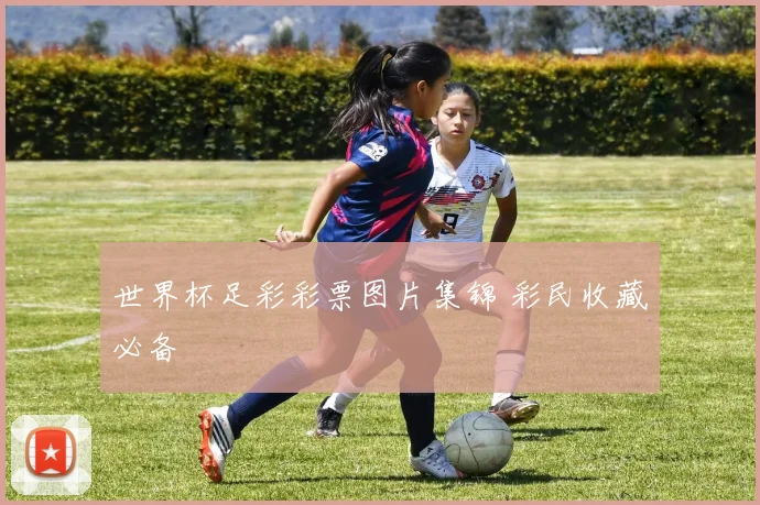 世界杯足彩彩票图片集锦 彩民收藏必备