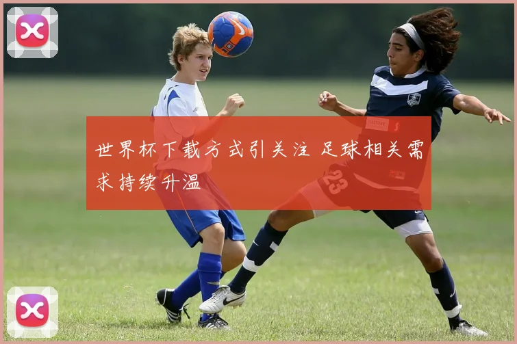 世界杯下载方式引关注 足球相关需求持续升温