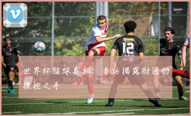 世界杯赌球真相:专访揭露财团的操控之手