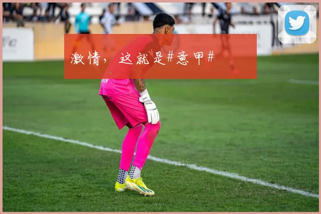 激情，这就是#意甲# ❤️‍