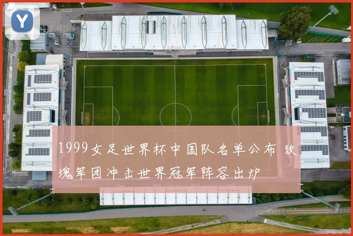 1999女足世界杯中国队名单公布 玫瑰军团冲击世界冠军阵容出炉