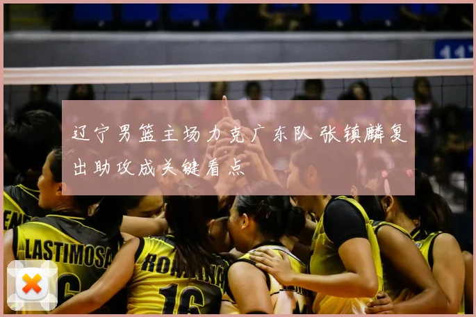 辽宁男篮主场力克广东队 张镇麟复出助攻成关键看点