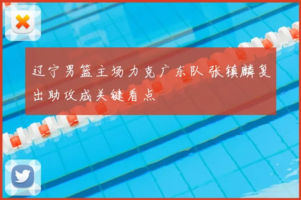 辽宁男篮主场力克广东队 张镇麟复出助攻成关键看点
