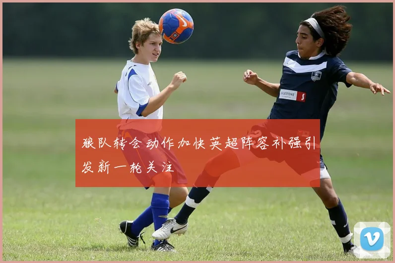 狼队转会动作加快英超阵容补强引发新一轮关注