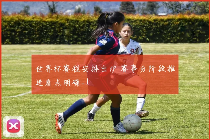 世界杯赛程安排出炉 赛事分阶段推进看点明确_1