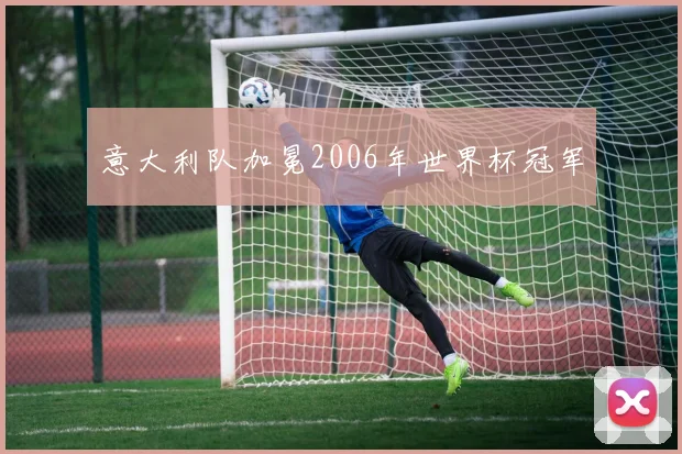 意大利队加冕2006年世界杯冠军