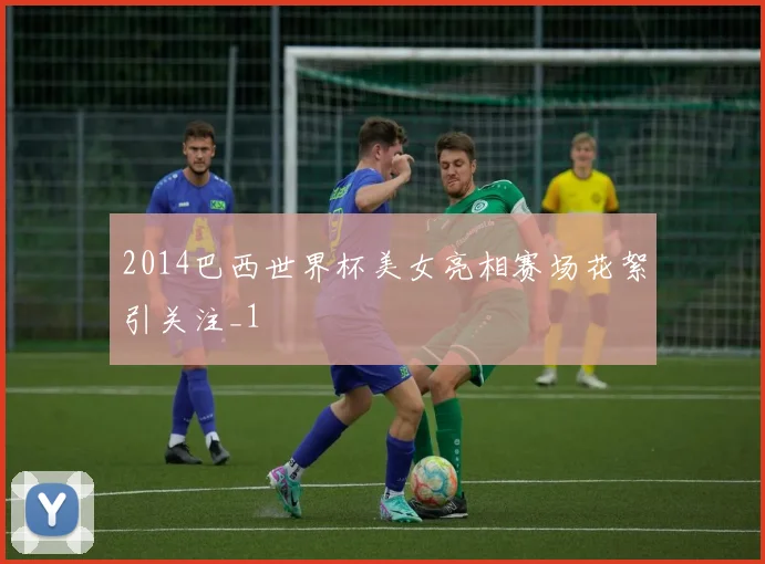 2014巴西世界杯美女亮相赛场花絮引关注_1