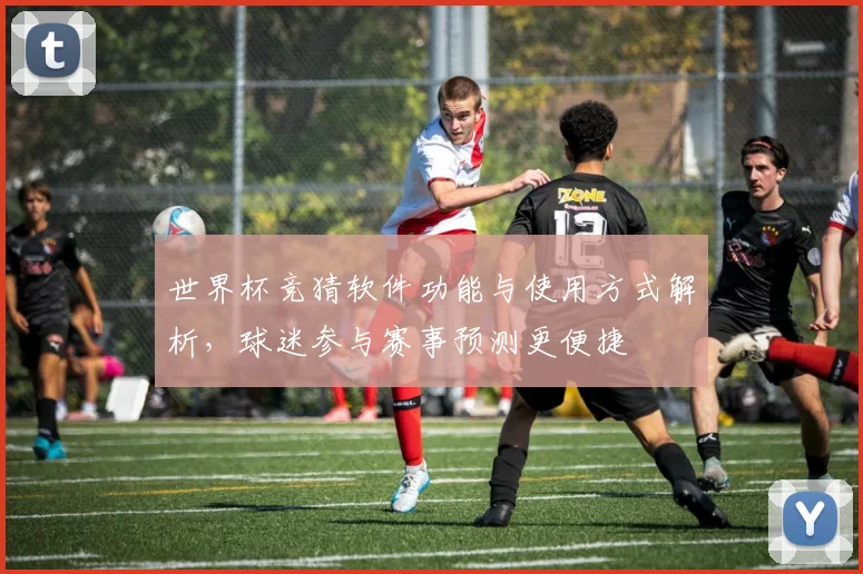 世界杯竞猜软件功能与使用方式解析,球迷参与赛事预测更便捷