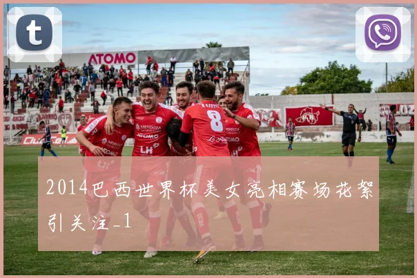 2014巴西世界杯美女亮相赛场花絮引关注_1