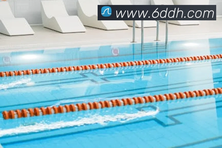 世界杯官网中文版平台生态图