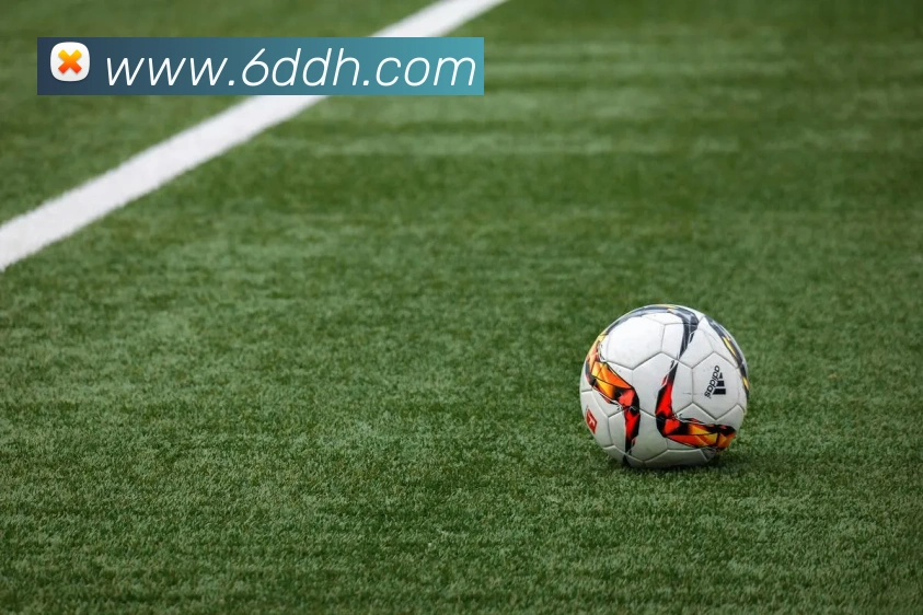 世界杯官网中文版APP 封面图